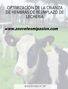 Libro Crianza de hembras ras de reemplazo