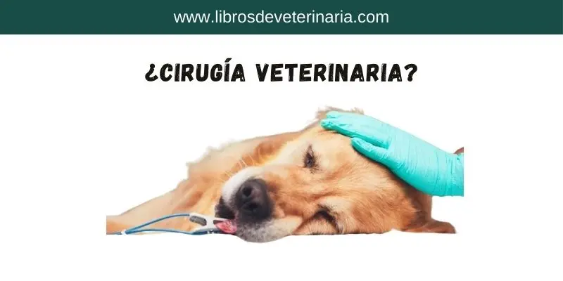 Cirugía Veterinaria