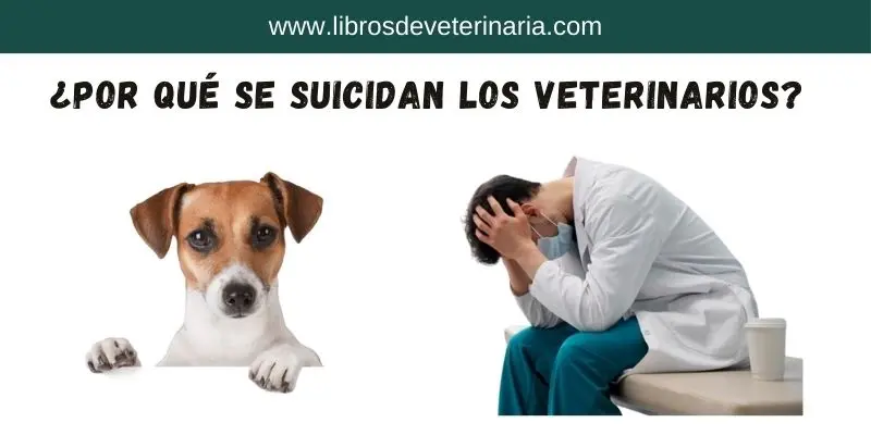 Por qué se suicidan los Veterinarios