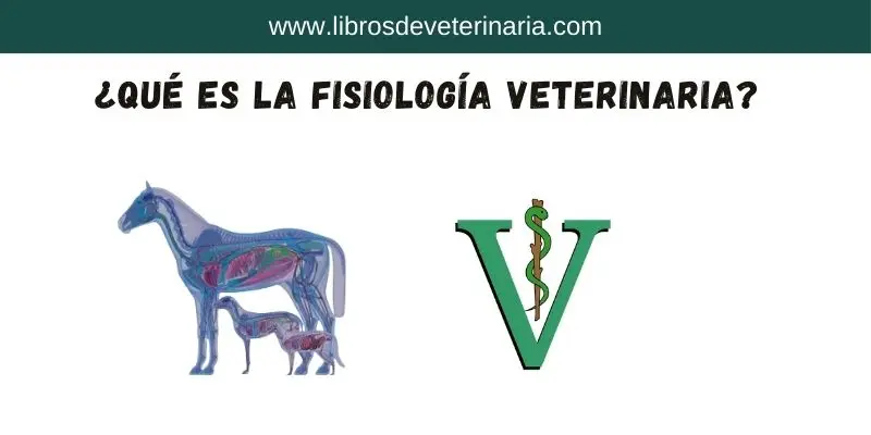 Que es la Fisiologia veterinaria o animal