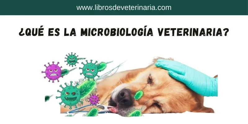 ¿Qué es la Microbiología veterinaria