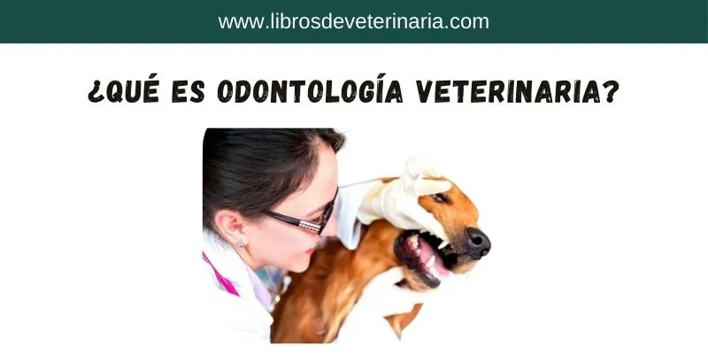 odontología veterinaria