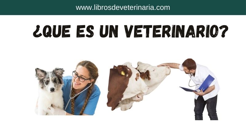 ¿Qué es ser un veterinario