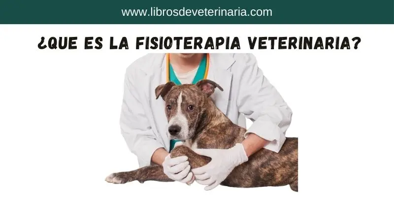 fisioterapia veterinaria2