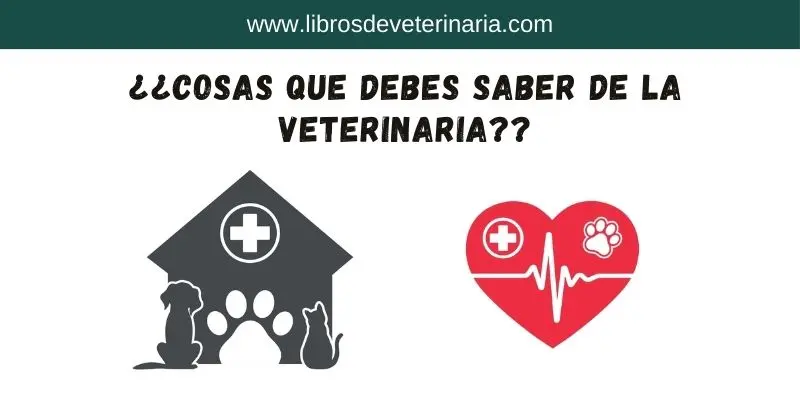 ¿Cosas que debes saber de la veterinaria