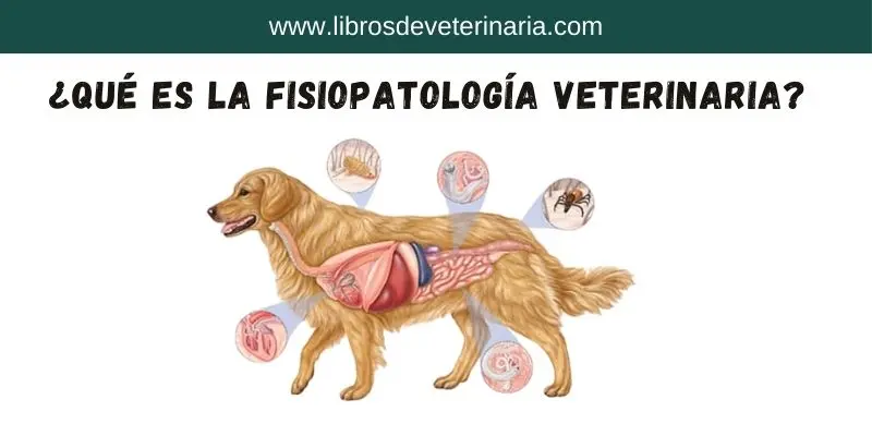 ¿Qué es la Fisiopatología Veterinaria