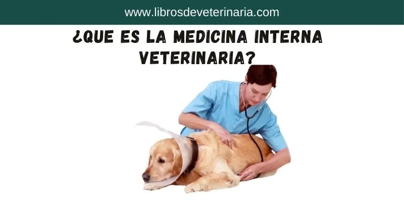 ¿Que es la Medicina interna veterinaria