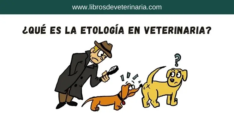 ¿Qué es la etología en veterinaria