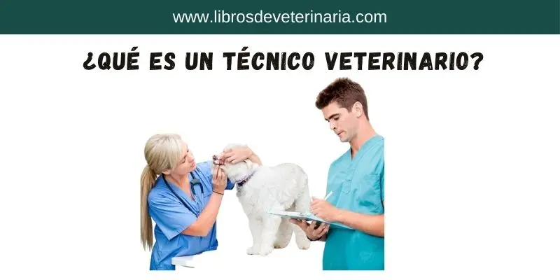 ¿Qué es un Técnico Veterinario