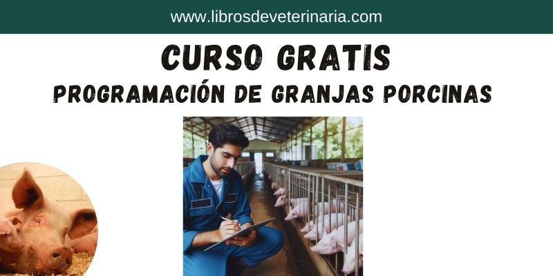 Curso gratis de programación de granja para cerdos