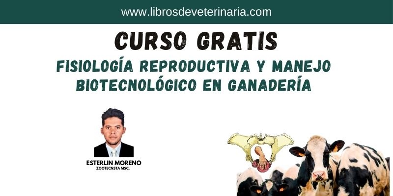 Curso gratis de reproducción bovina